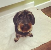 90de937e-25d6-4f55-9255-914fe3472fea